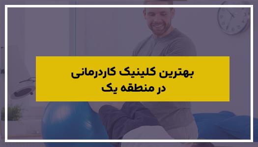 بهترین کلینیک کاردرمانی در منطقه یک